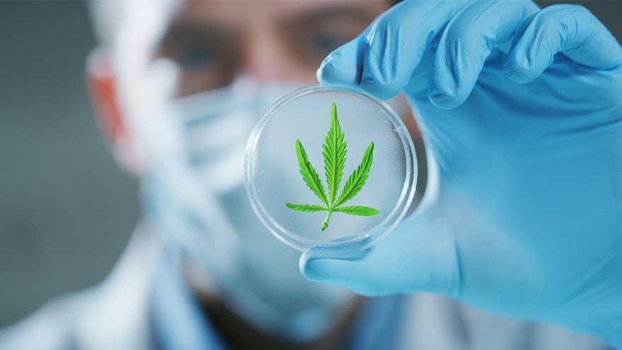 Nebraska Medical Cannabis Regulation