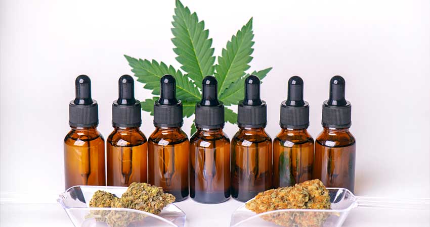 U.S Cannabis State Licensing