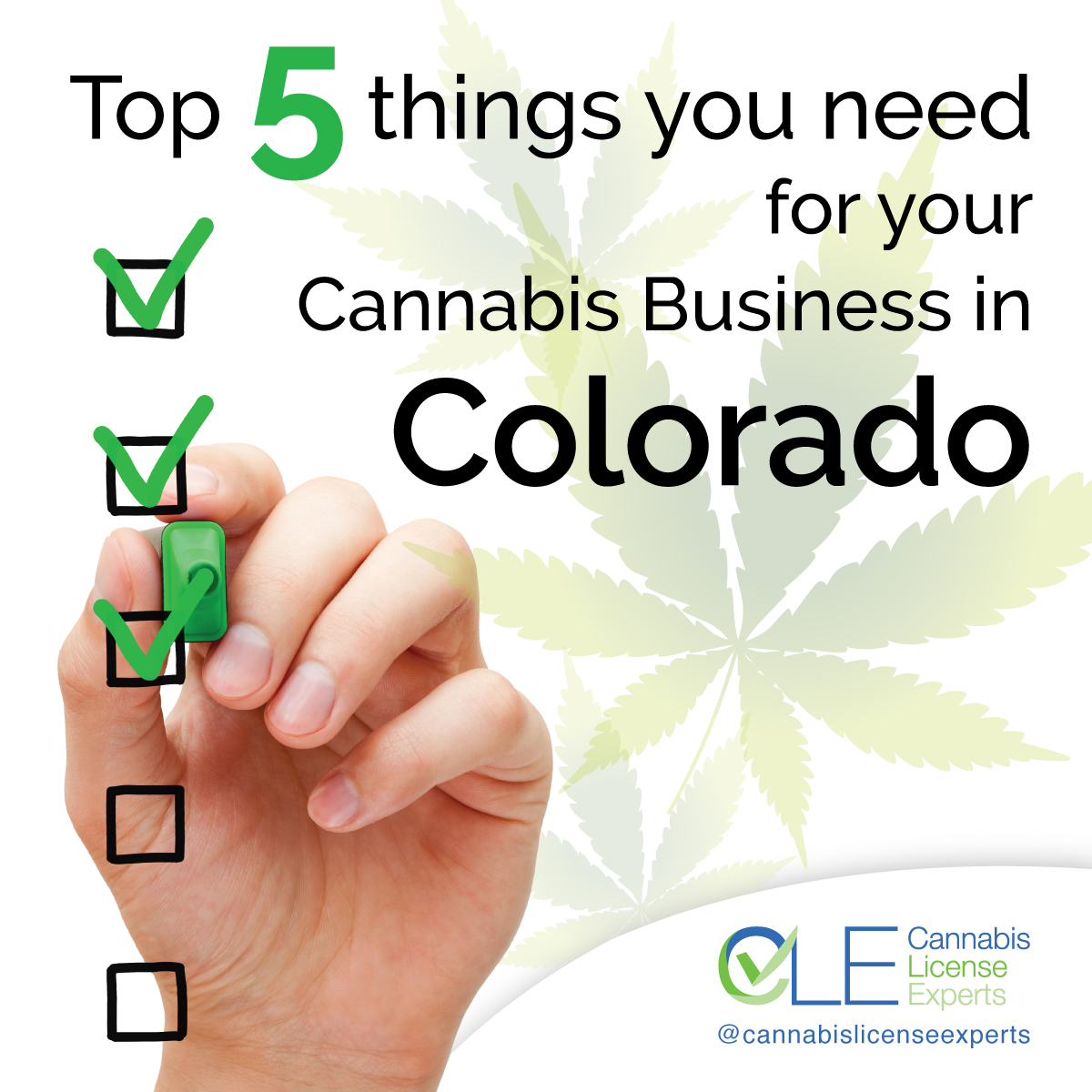 Colorado Cannabis License Get Licensed Grow Fast   CLE CannabisChecklist Colorado 