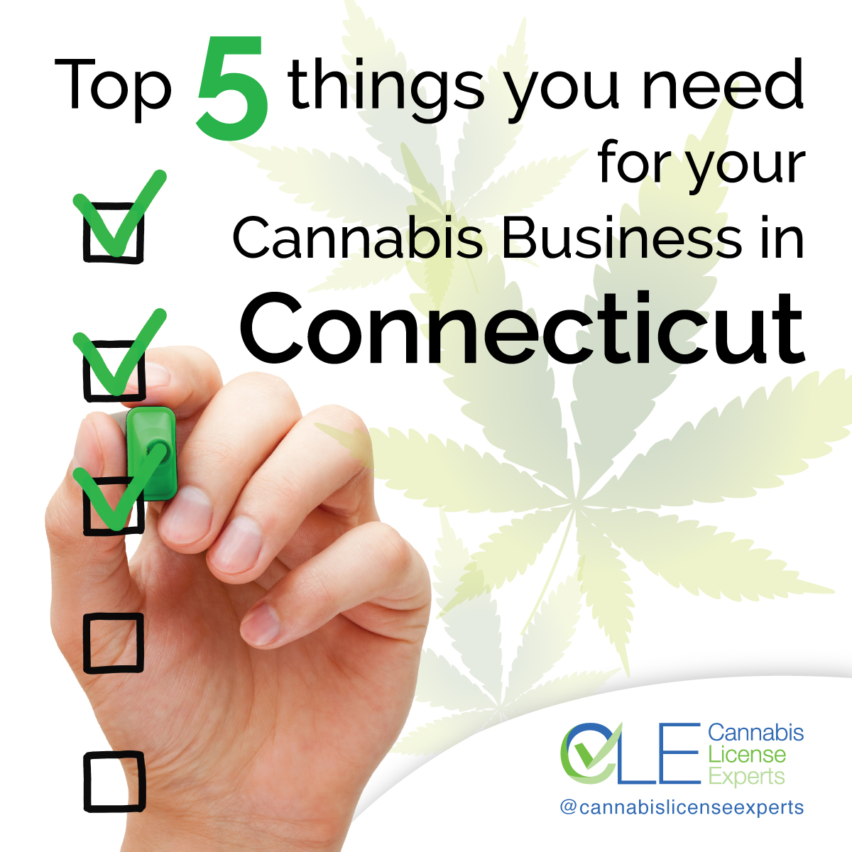 Connecticut Cannabis License & Permits CT Cannabis License