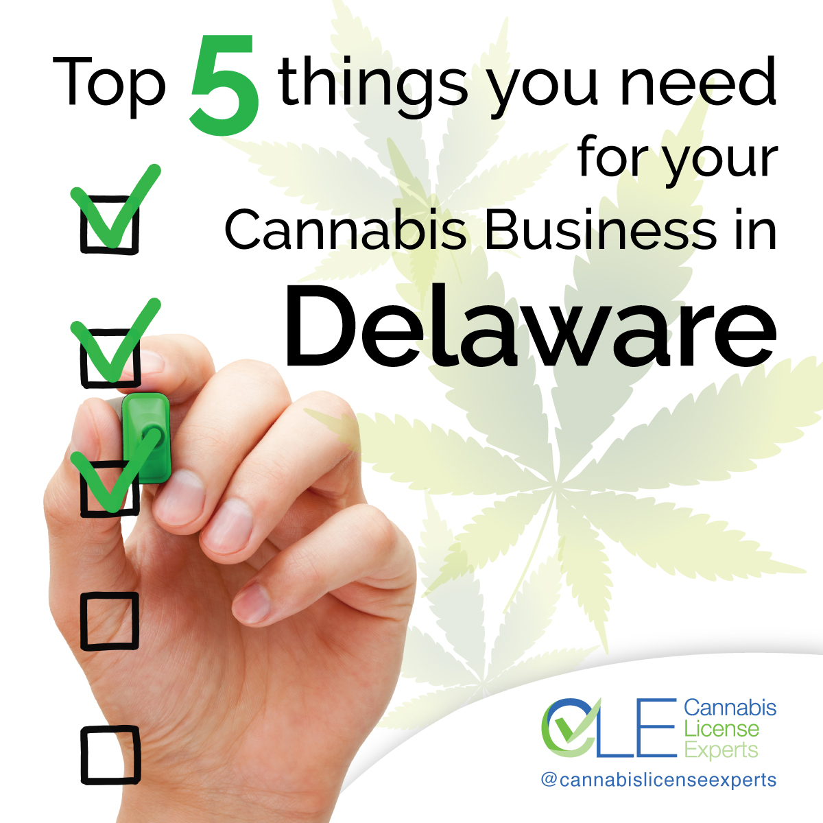 Delaware Cannabis License Requirements, Regulations & More