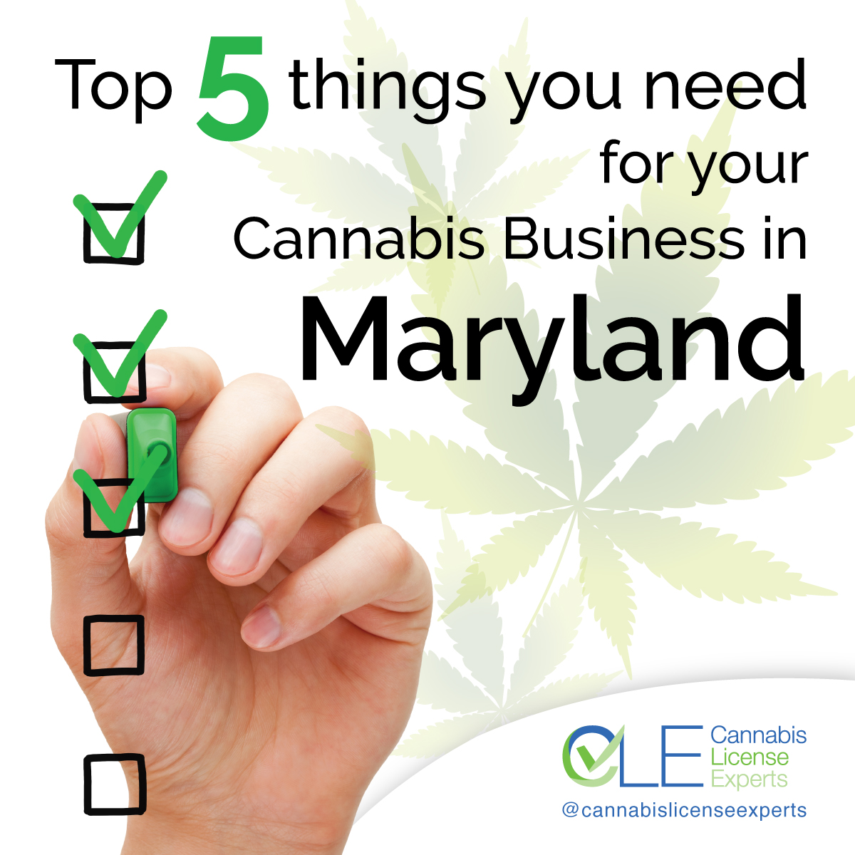 Maryland Cannabis License Get Licensed & Grow