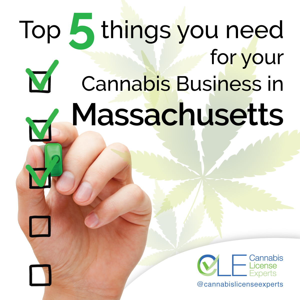 How To WIN A Massachusetts Cannabis License Without Refusal