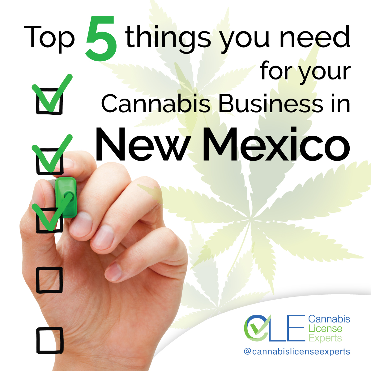 New Mexico Cannabis License