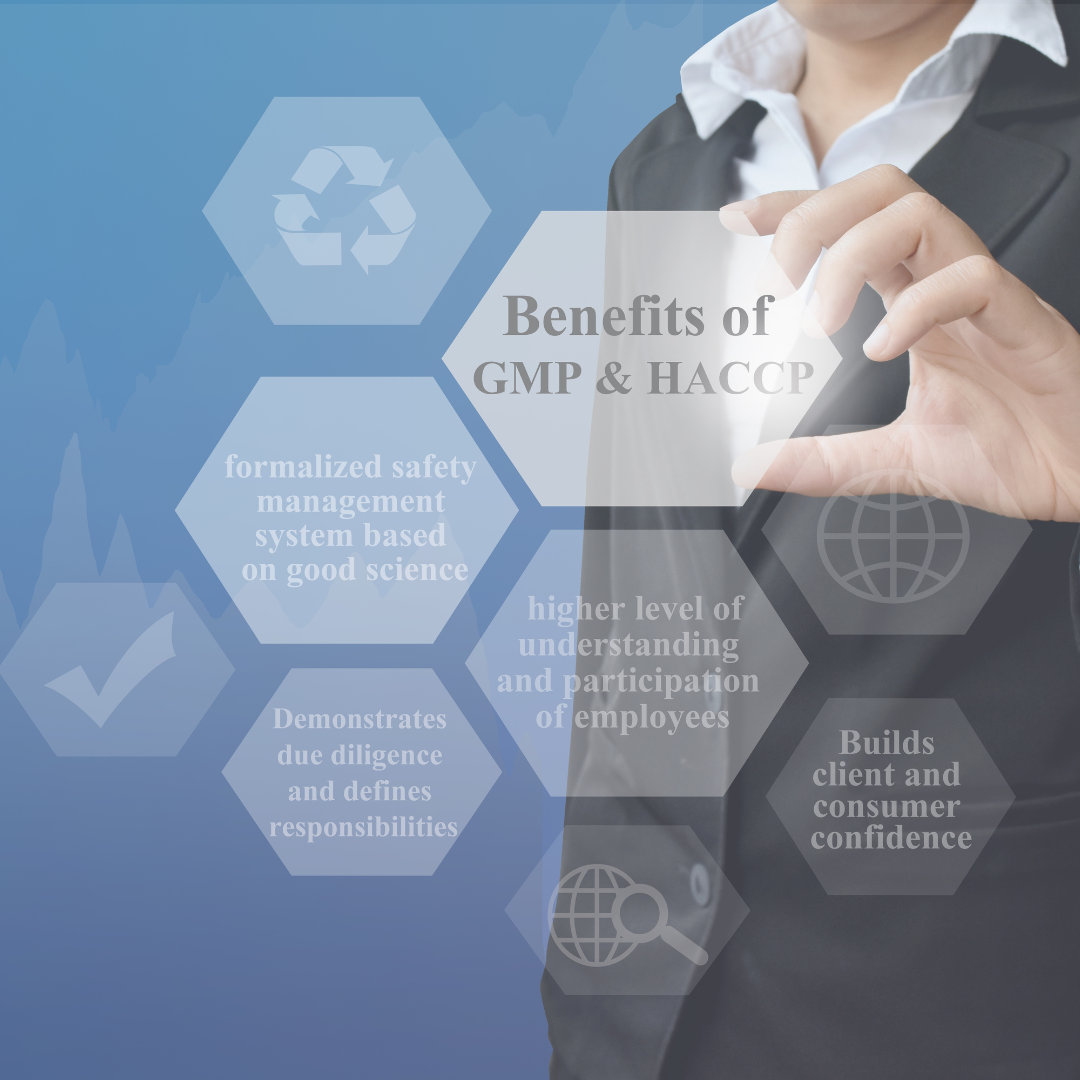 GMP Certification Requirements