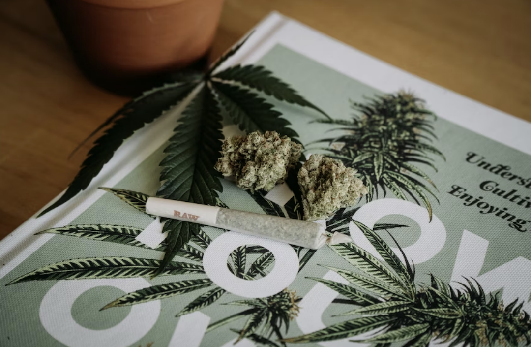 Top 7 Types of Insurance Your Cannabis Business Needs To Grow
