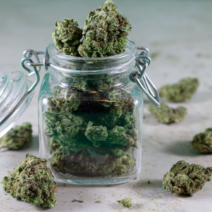 Minnesota Cannabis Legalization program