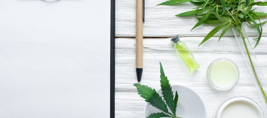 How to open a New Jersey cannabis dispensary